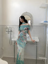 Chinese Art Maxi Dress