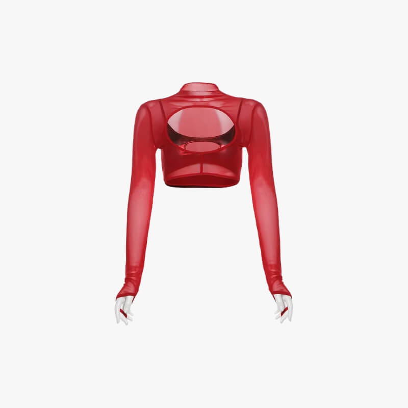 Cut-Out Sheer Mesh Crop Top