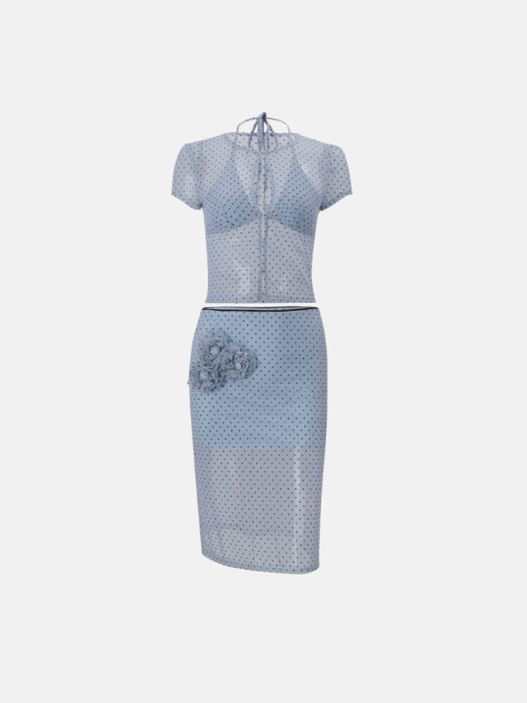 Mesh Polka Dot Midi Skirt & Top