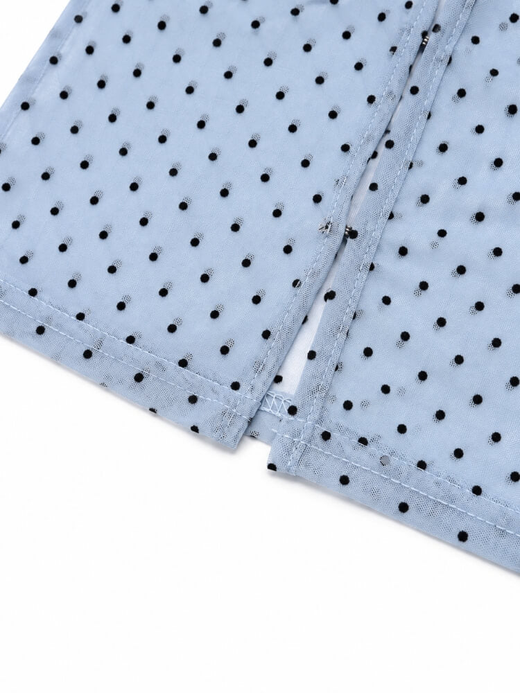 Mesh Polka Dot Midi Skirt & Top