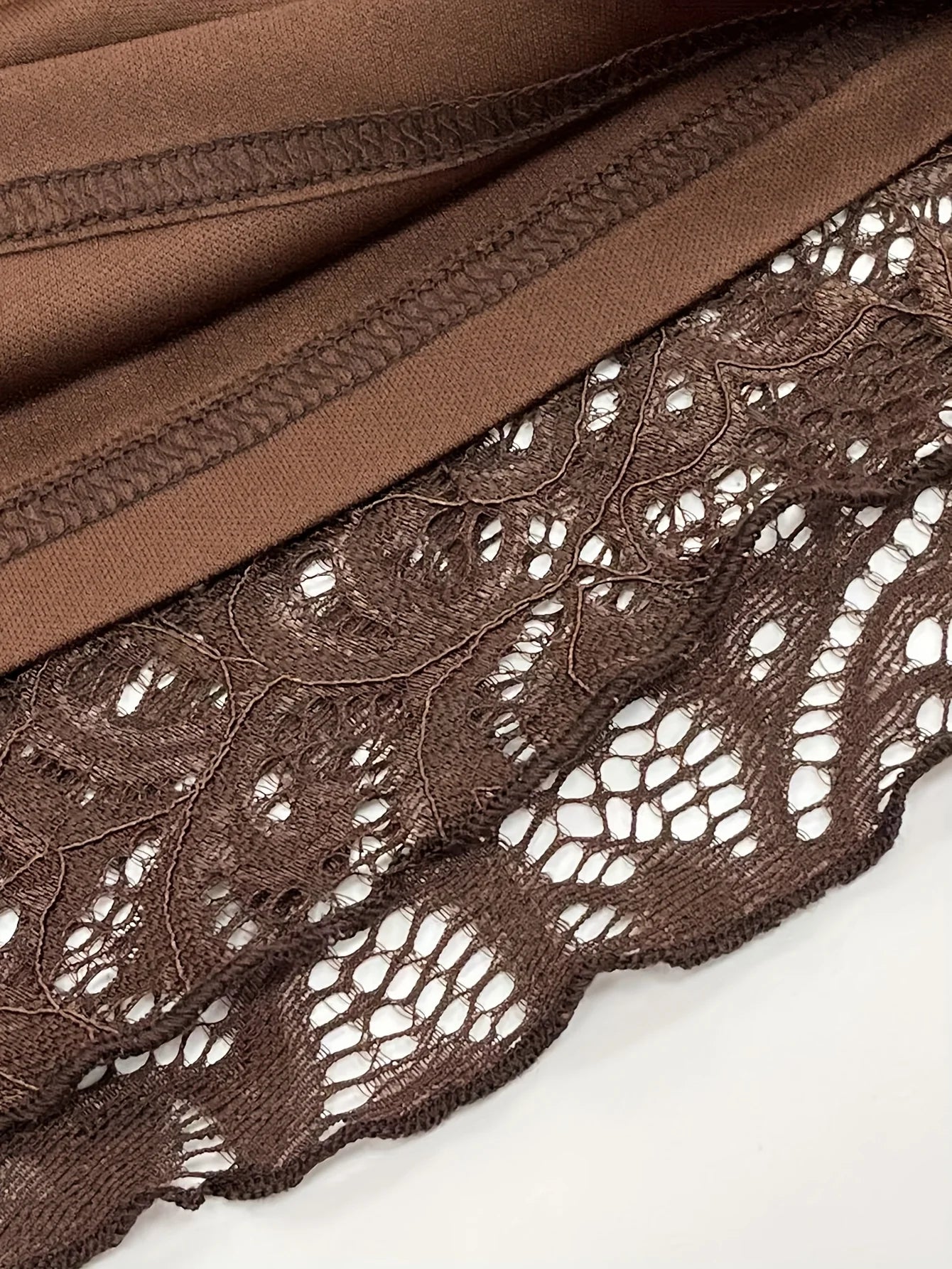 Sheer Lace Mini Dress