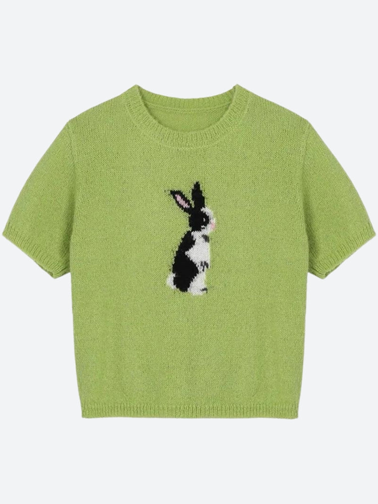 Soft Girl Rabbit Knitted Top - Litlookz Studio